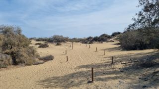 2023-GC--Mapalomas dunas-S123-181.jpg